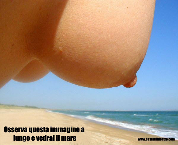 Visto che bella spiaggia?